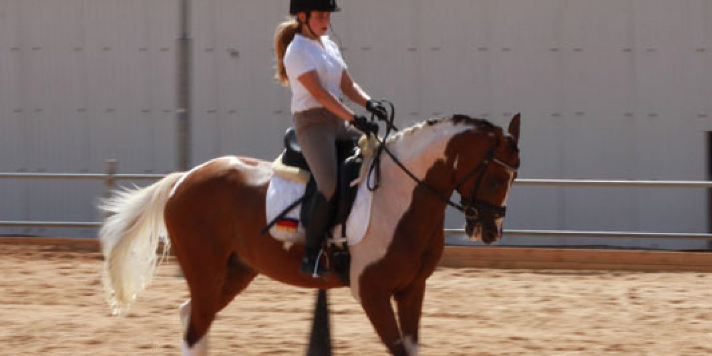 Reiten ist das Hobby der deutschen Blondine Reiten ist das Hobby der deutschen Blondine