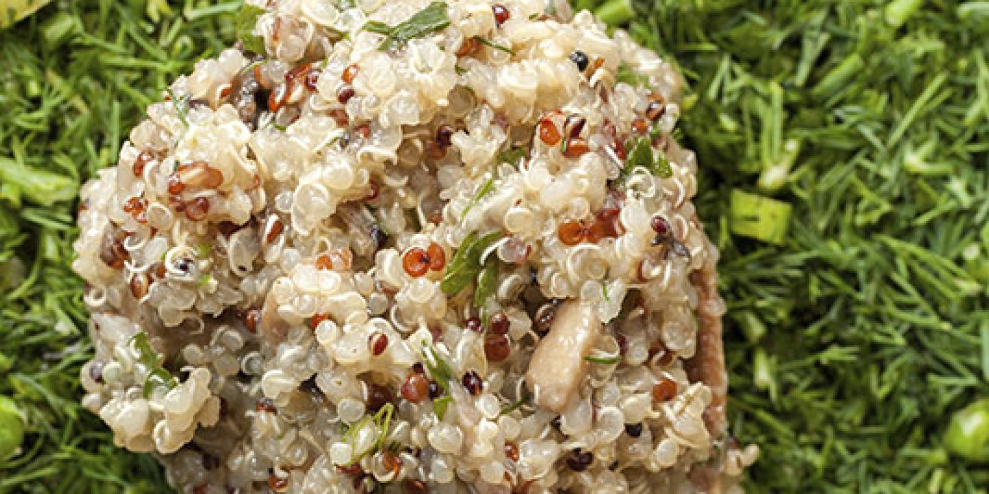 Quinoa auf dem Sedertisch | Jüdische Allgemeine