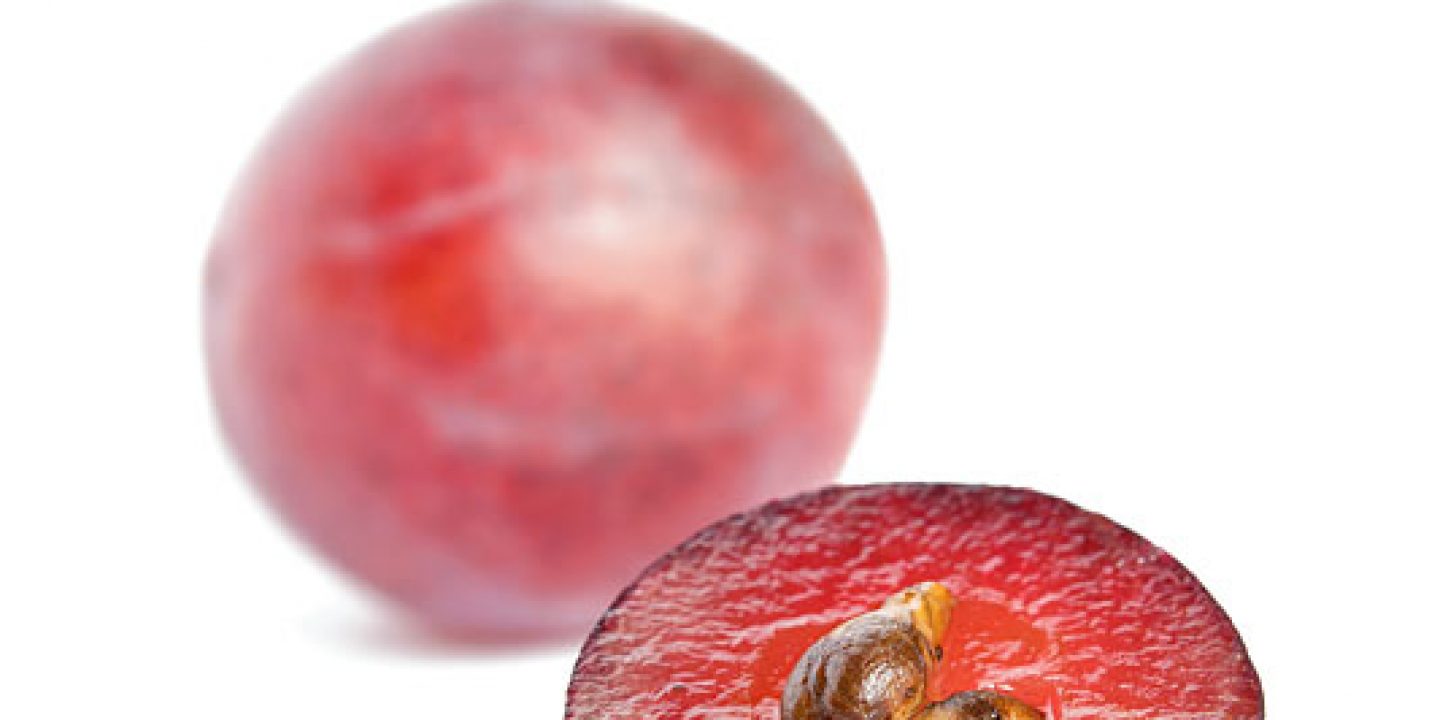 Orla Jüdische Allgemeine