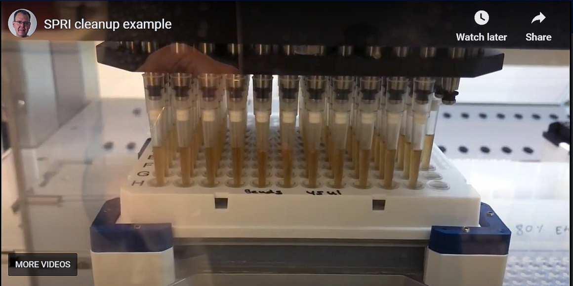 Zehnmal Schnellerer Test Judische Allgemeine