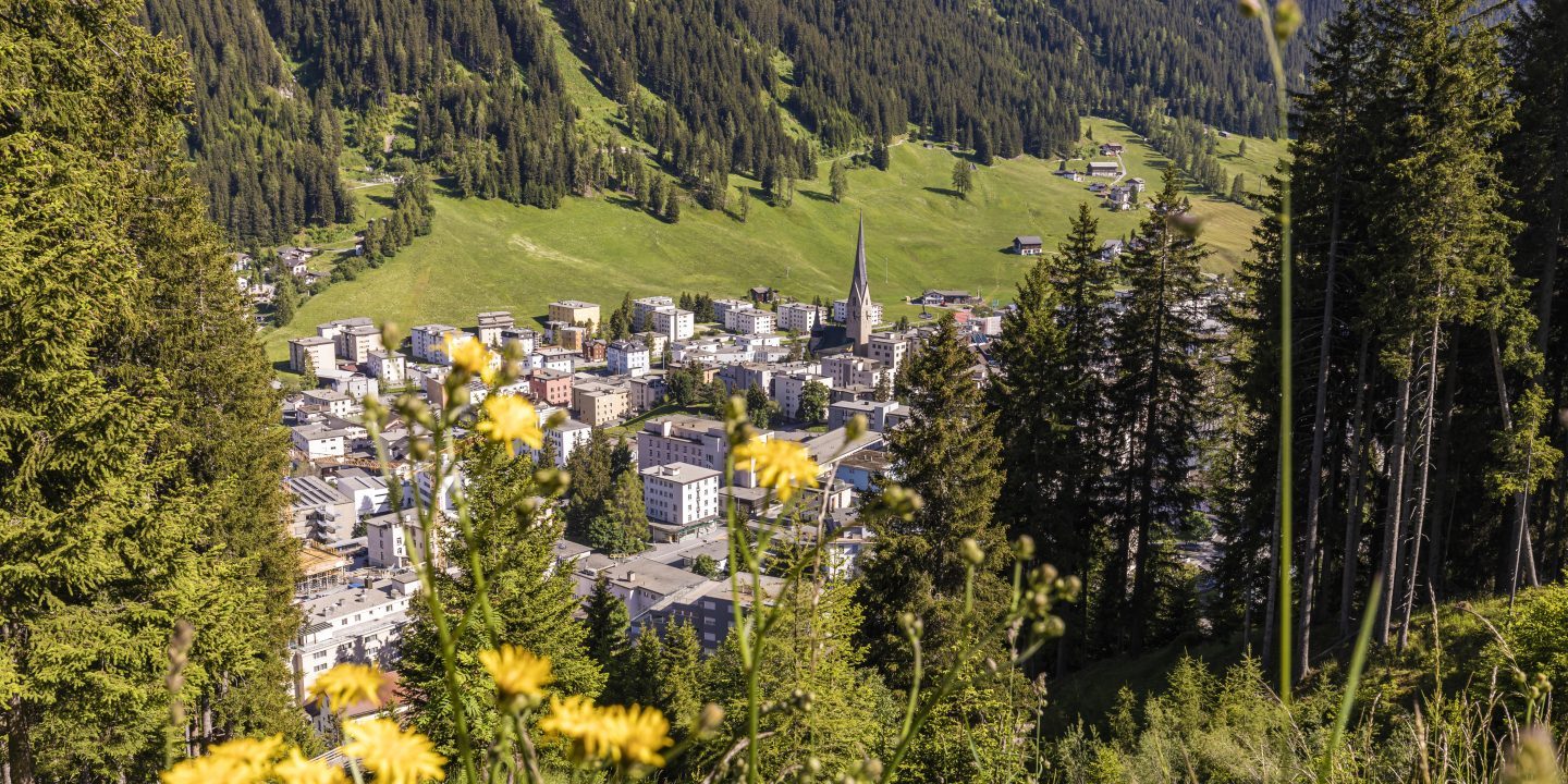 Will there Soon be No More Room for Orthodox Jews in Davos? - Vimarsana News